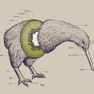 Data Science Archive